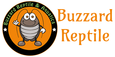 Buzzard Reptile logo