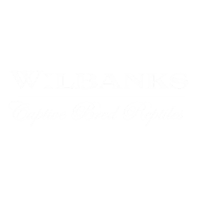 Wilbanks logo
